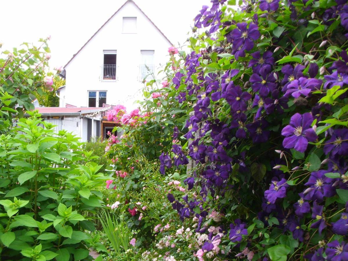 Ferienwohnung Gaby Marburg 外观 照片